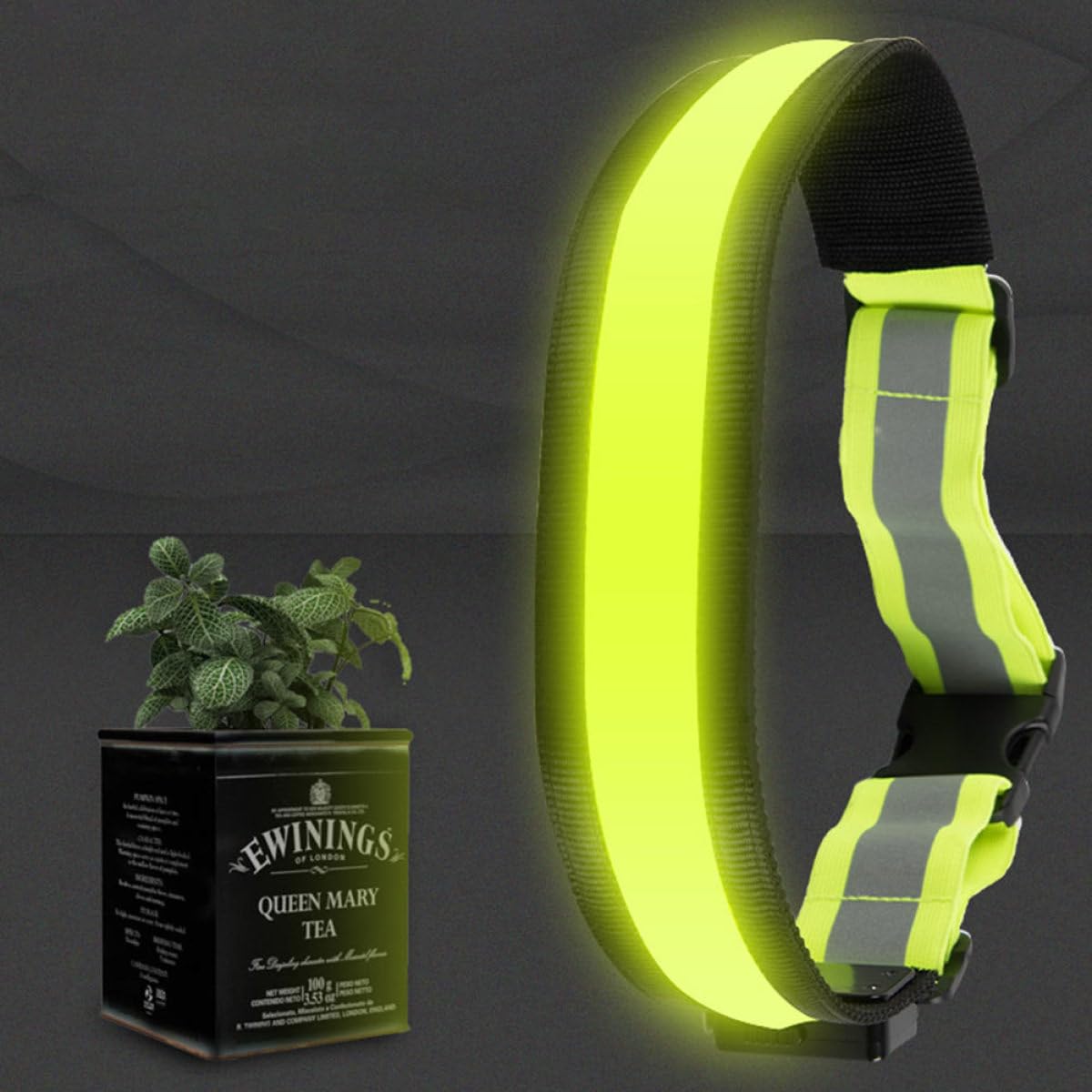 Toddmomy 3 Stück Leuchtender Gürtel Reflektierende Laufausrüstung Sicherheitslichtgürtel Led-Laufgürtel Wiederaufladbarer Laufgürtel Reflektierender Gürtel Verstellbarer