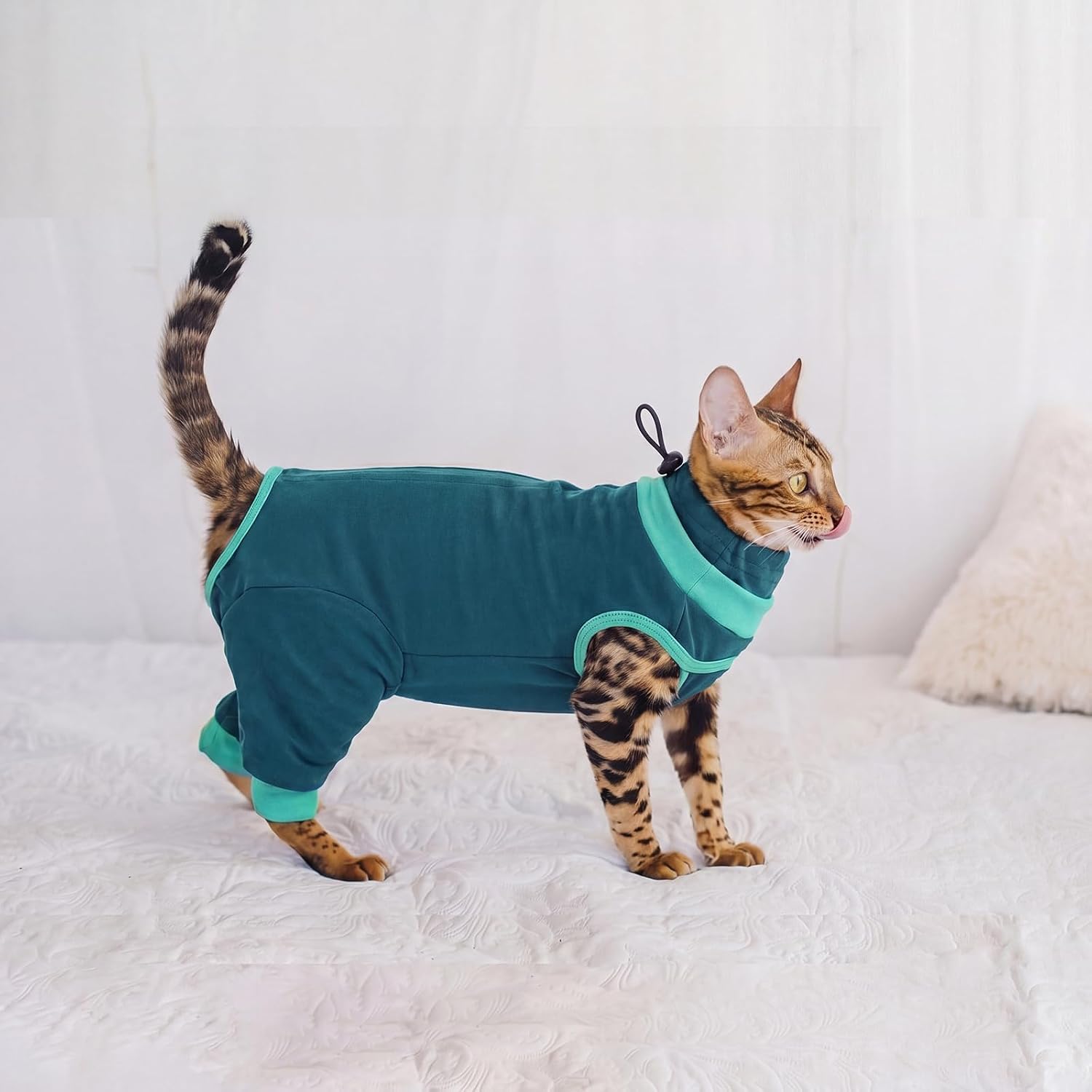 BRKURLEG Cat Recovery Suit with Hind Legs, Soft Post Spay Onesie, Green L | Anti-Licking Abdominal & Hind Leg Wound Protector for Female Cats & Kittens After Surgery, Cone Alternative, Cat Pajamas