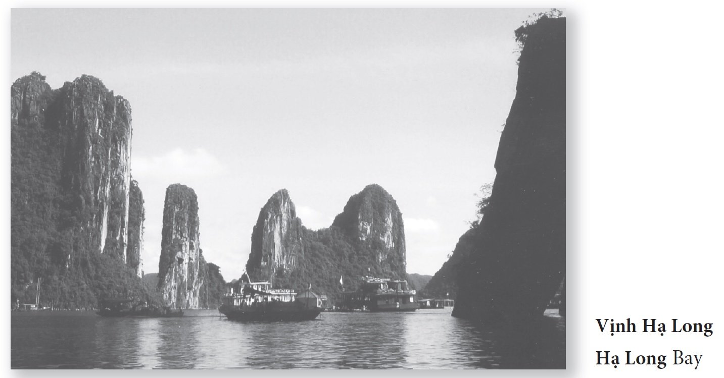 Continuing Vietnamese
