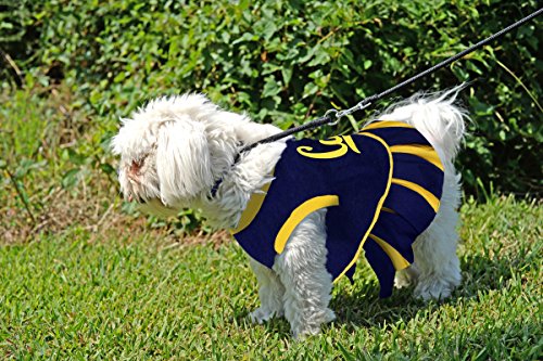 NCAA-California-Golden-Bears-Berkeley-Dog-Cheerleader-Outfit-X-Small
