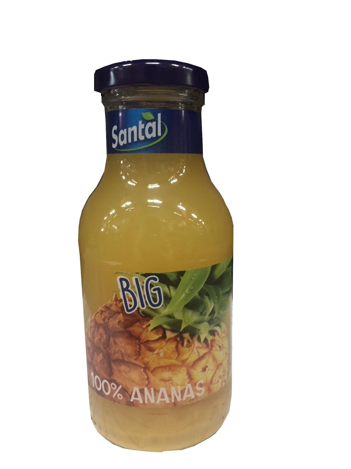 SANTAL SUCCHI ANANAS PLUS 100 24 X 250 ML