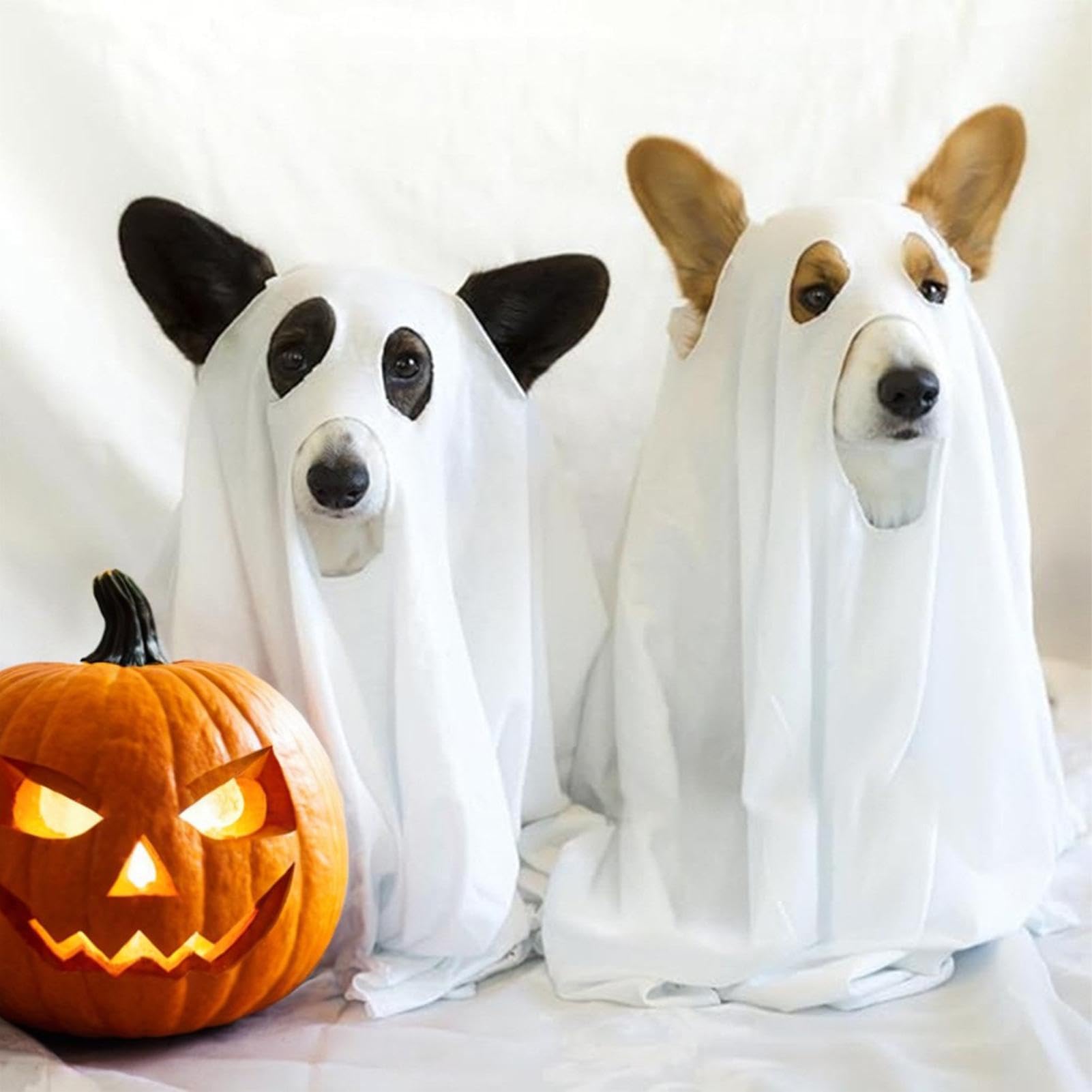 Hunde Kostüm Gespenst - Lustiges Halloween Kostüm Für Hunde 75x120cm