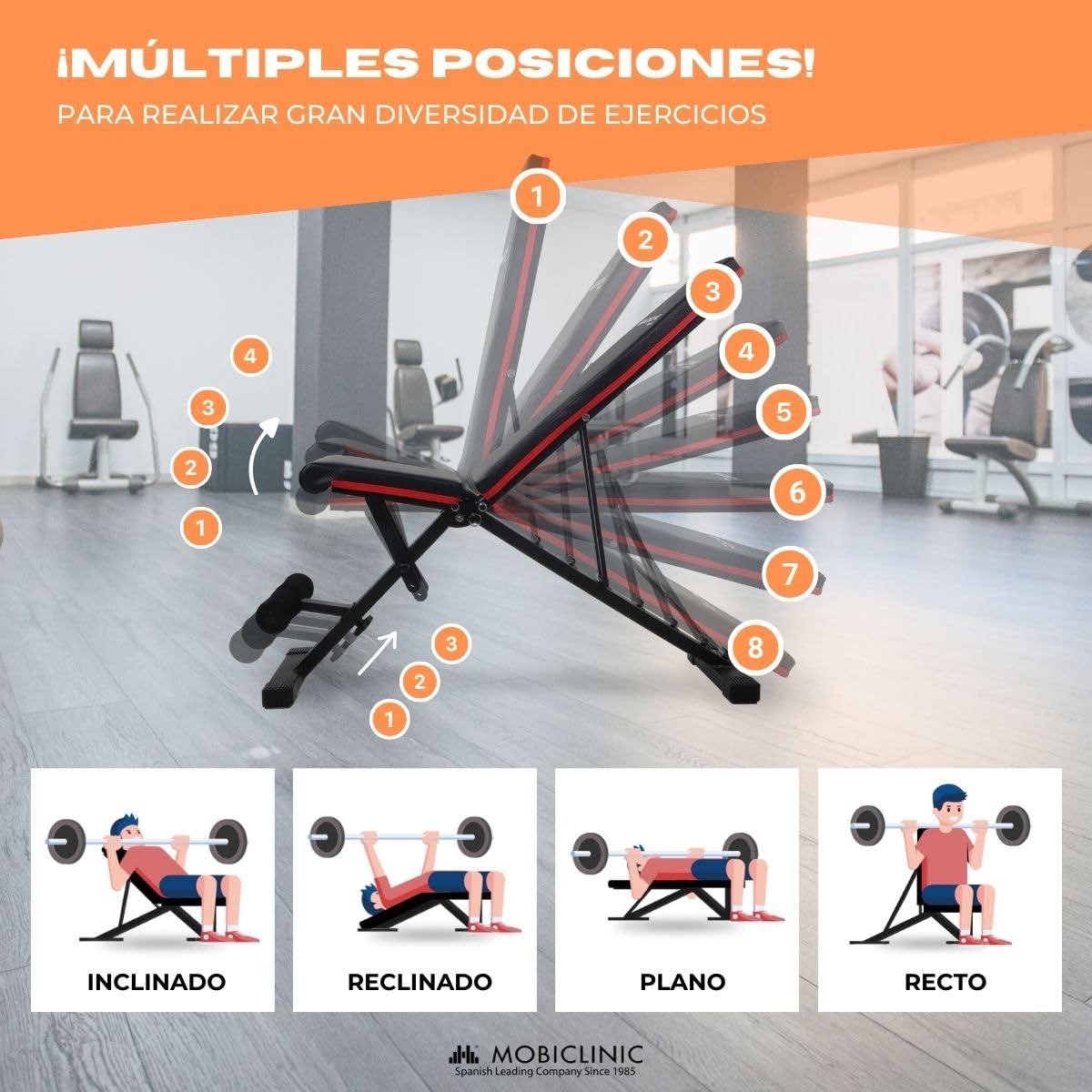 Mobiclinic® fitness, Banco de musculación, Plegable, Soporta 200kg, Asiento y respaldo regulable, Flexfit, Multifunción, Pesas, Entrena cuerpo completo, Resistente estable, Gym en casa