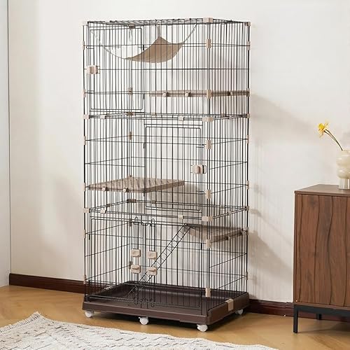 L P[W 3i LbgP[W ^ i^Cv nbNt LX^[t JhA g݊R 1i 2iΉ  LbgnEX LnEX [^ 2025Vdl (uE)