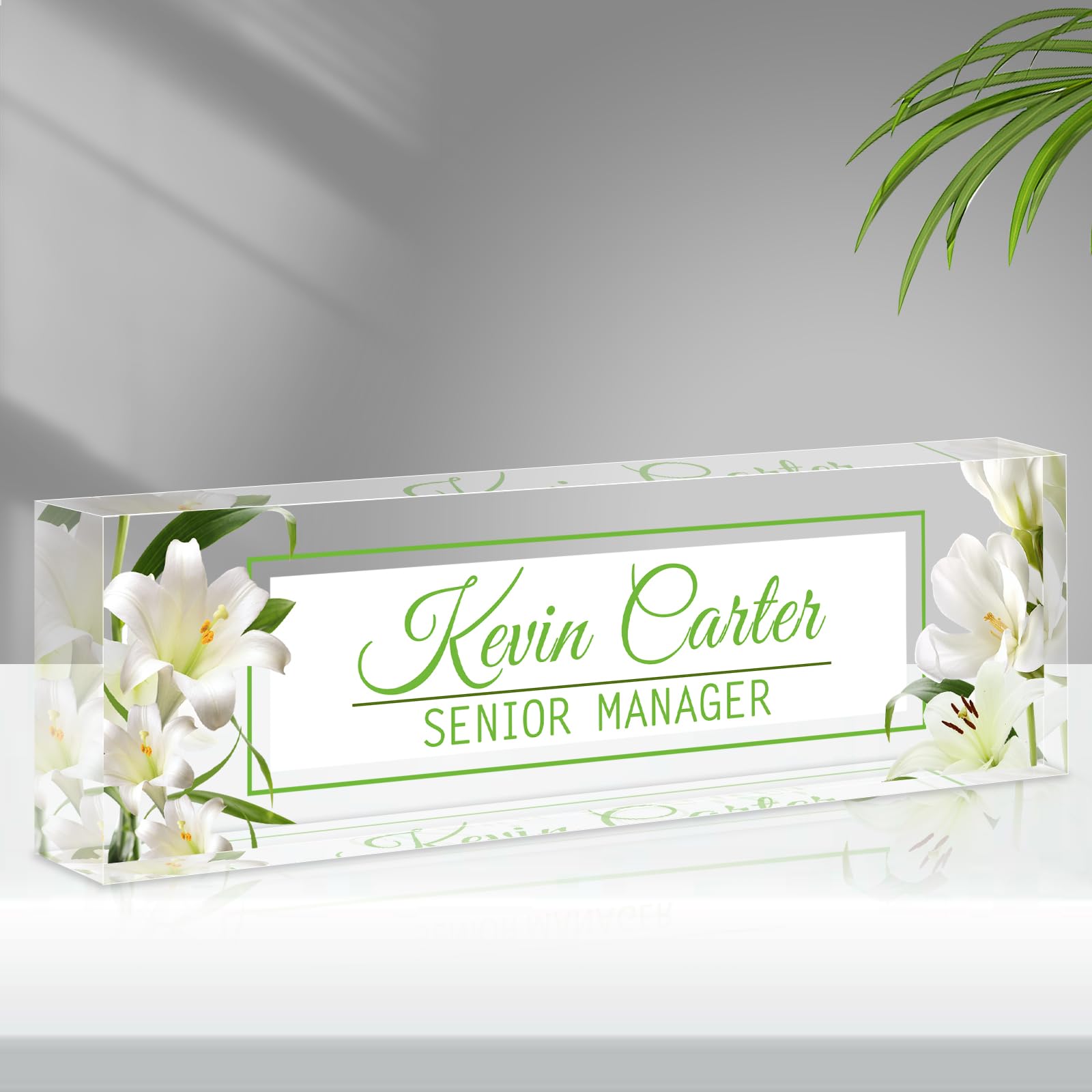 SCZQOVR Name Plate for Desk Personalized, Acrylic Desk Decorations, Employee Appreciation Gifts, Custom Office Gifts for Coworkers, Boss, Teacher,