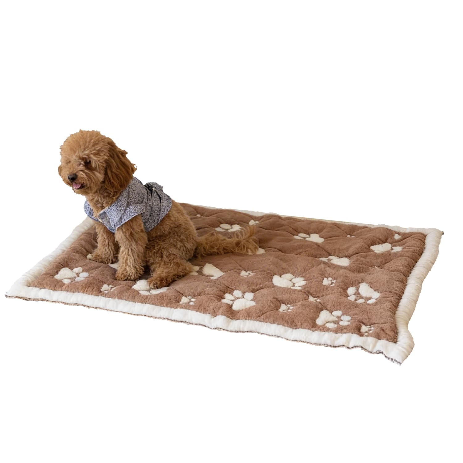 Little Dedi PetMat in Biscuit Beige | Organic Cotton Crate Pad for Small Dogs, Cats & Nursery | Seamless & Reversible | Washable | 3D Knit Comfort | 28x40 in Mat for Crates or Changing Tables