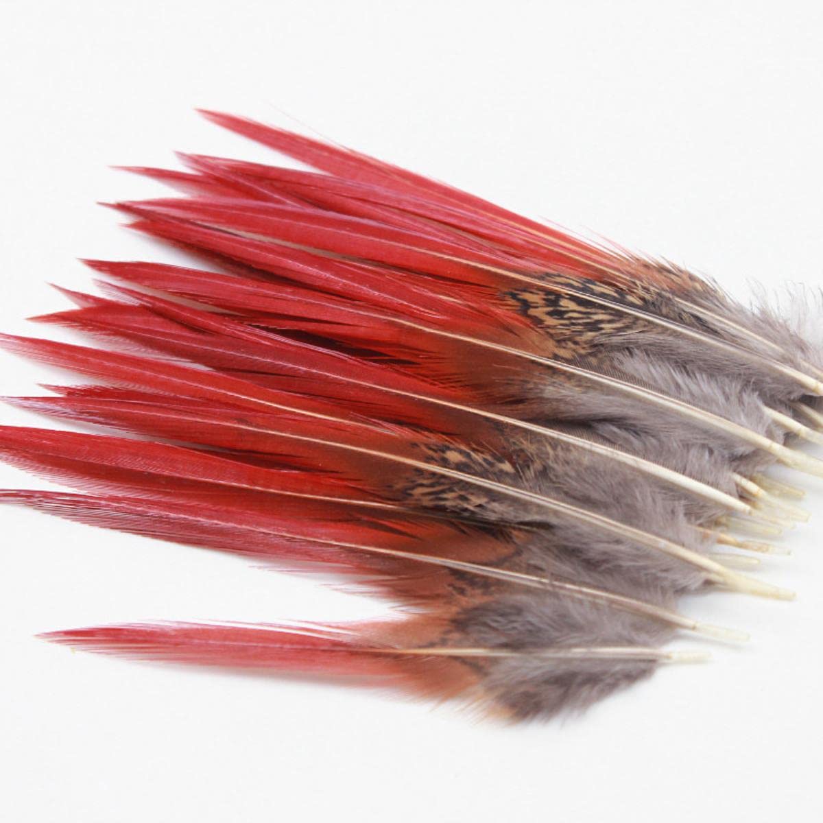 Venta Al Por Mayor De Plumas De Faisán Natural Con Cuello De Anillo Para Manualidad, Plumas De 10-75cm, Accorios De Decoración Para Fitas, Bodas Y Carnaval - AliExprs 15