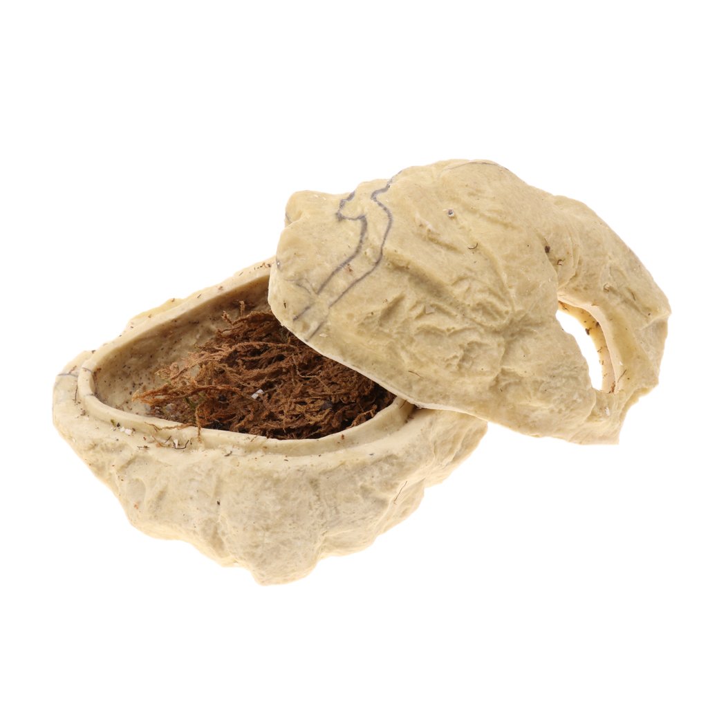 Set di 2 grotte nascoste in resina per rettili con coperchio, decorazione ornamentale a forma di tartaruga a forma di pesce