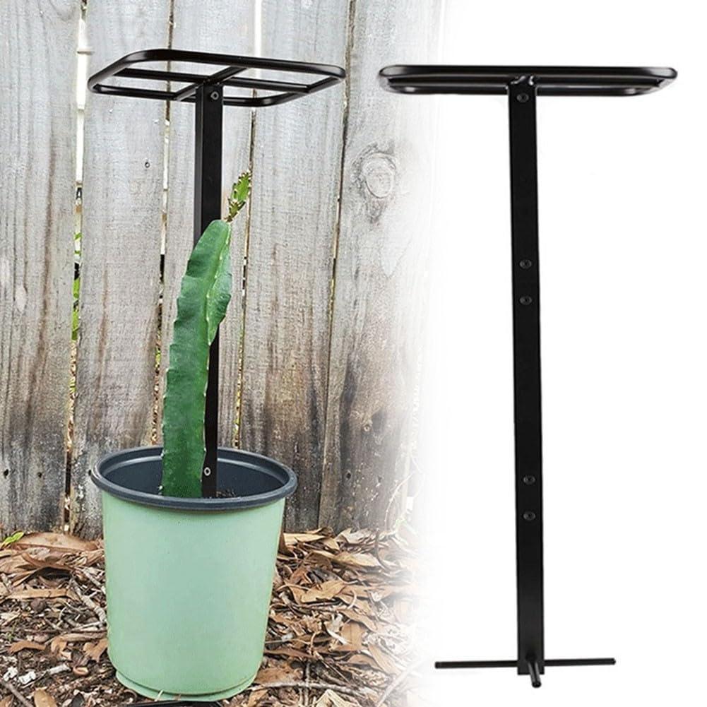 Treillis de fruits du dragon pour sublimer votre jardin méditerranéen en lot de 2