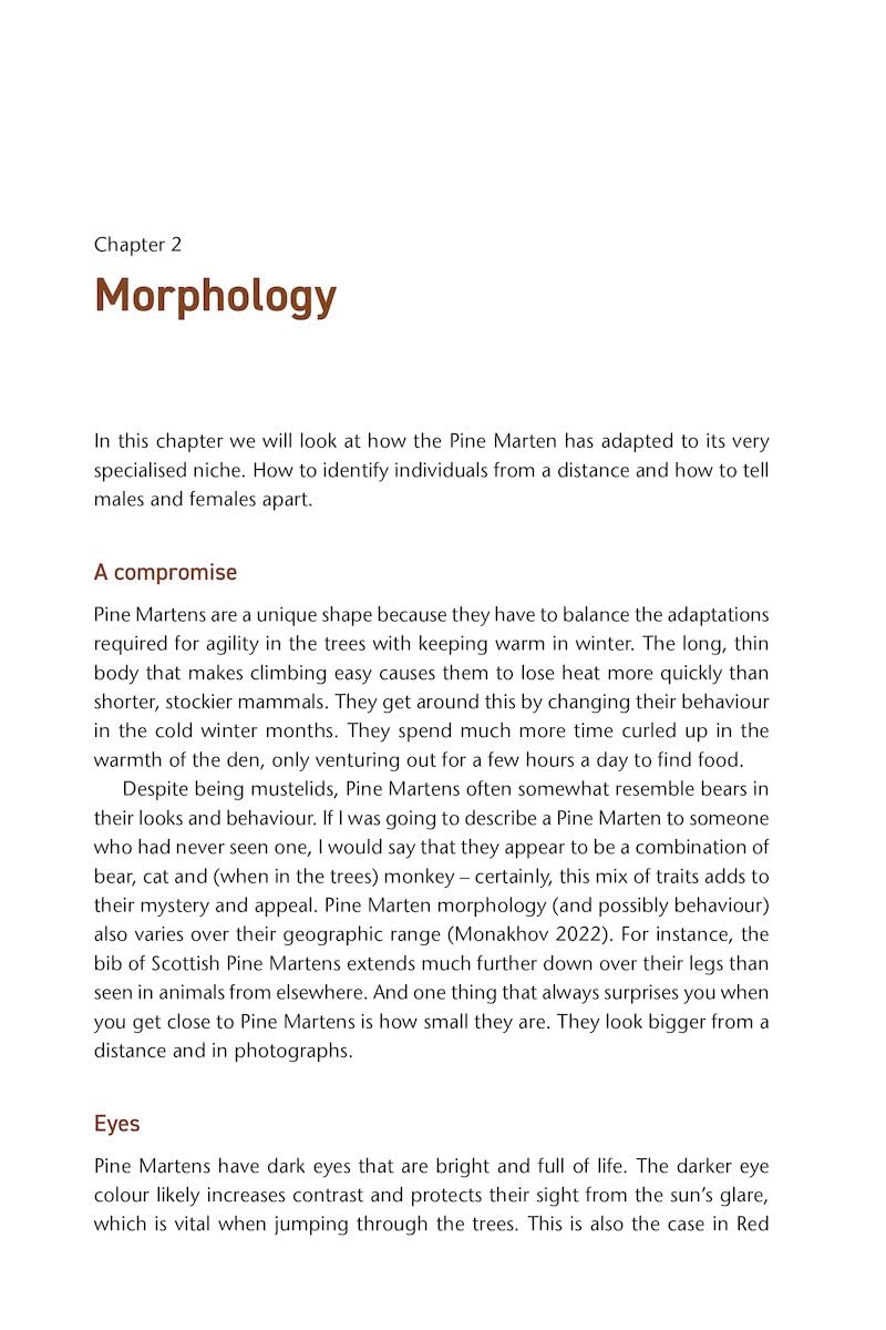 Pine Marten: The Secret Life of Martes martes (Pelagic Monographs)