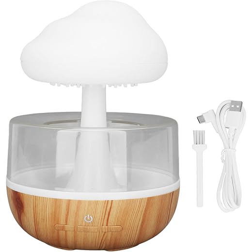 Raptas Special 15 Year Warranty Rain Cloud Humidifier Wate