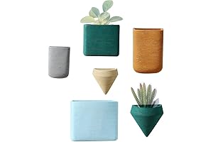 Elegant Ceramic Wall Planters for Modern Home Decor