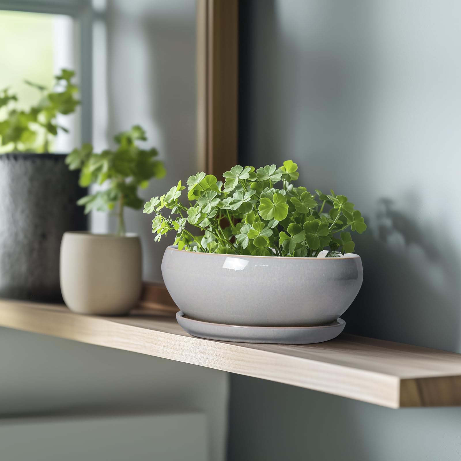 SQOWL Bonsai-Baumtöpfe – 20,3 cm Keramik-Blumentöpfe für Sukkulenten, Flacher Übertopf mit Ablaufloch und Untersetzer, runder Übertopf für drinnen und draußen, Schalen-Pflanzgefäße, Heimdekoration