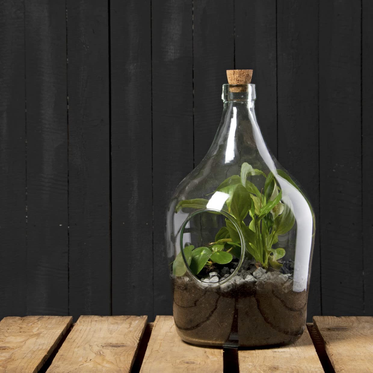 Esschert Design Przezroczysta butelka terrarium, 5 litrów