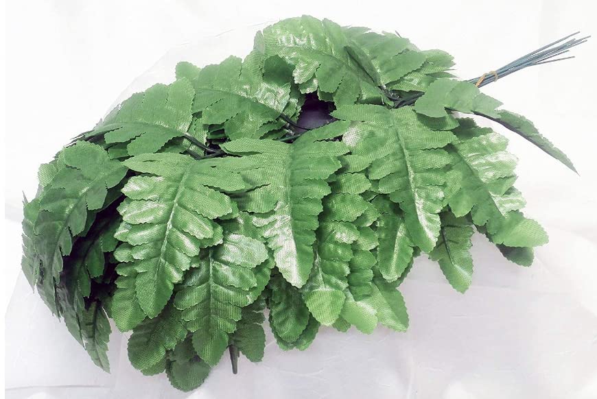 Artificial Silk 18 Inch Leather Leaf Fern Greenery Florist Quality 7 Leaves per stem 6 Bunches totals 504 Leaves (6 Bunches of 12 Stems 72 Stems)