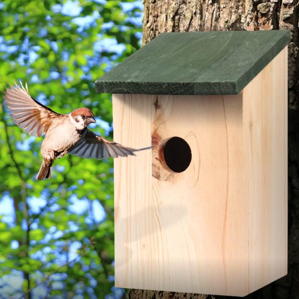 Garden Mile 8 X Tradizionale Giardino In Legno Nidificazione Scatole Con Verde Cerniera Tetto Per Una Facile Pulizia Predator Impermeabile Per Accogliere Piccolo Uccelli Passeri, Tette Robin Nido