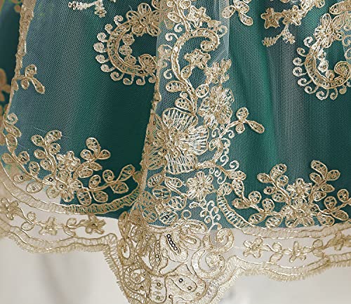 Image of HNXDYY Little Girls Princess Dress Girls Fancy Party Costume