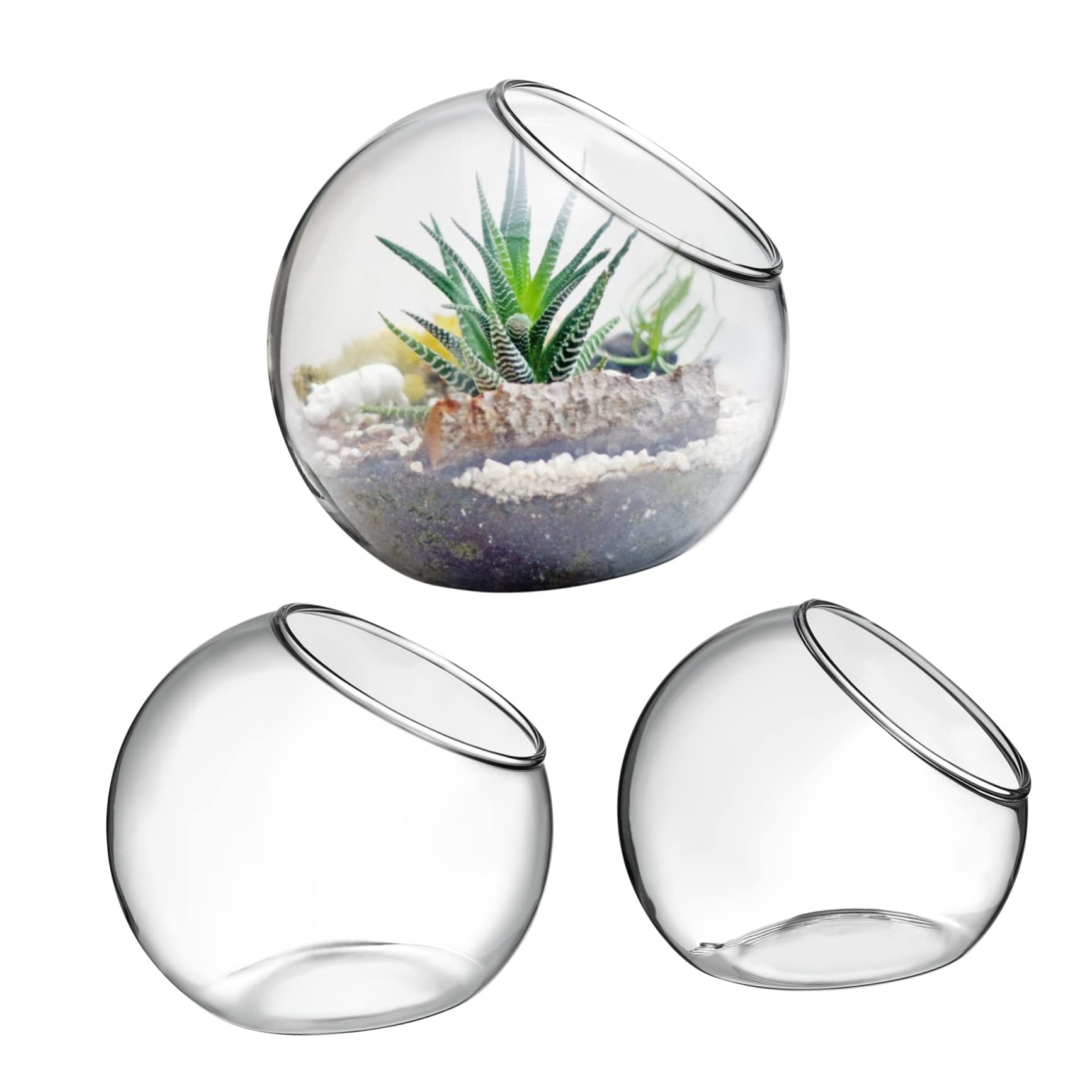 Terrarium en verre YARNOW, lot de 3 vases de 8, 10, 12 cm pour plantes et mousse