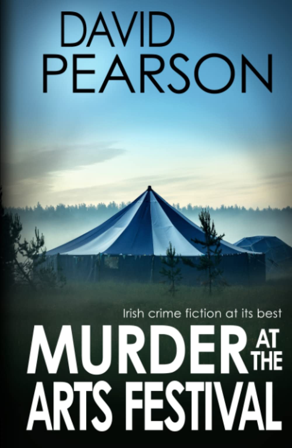 MURDER AT THE ARTS FESTIVAL: Irish crime fiction at its best (The Galway Homicides)