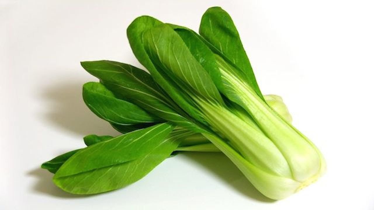 Garden Needs Bok Choy Seeds, Avg 30-50 Seeds (B01M0M33QQ) Amazon Price History, Amazon Price Tracker