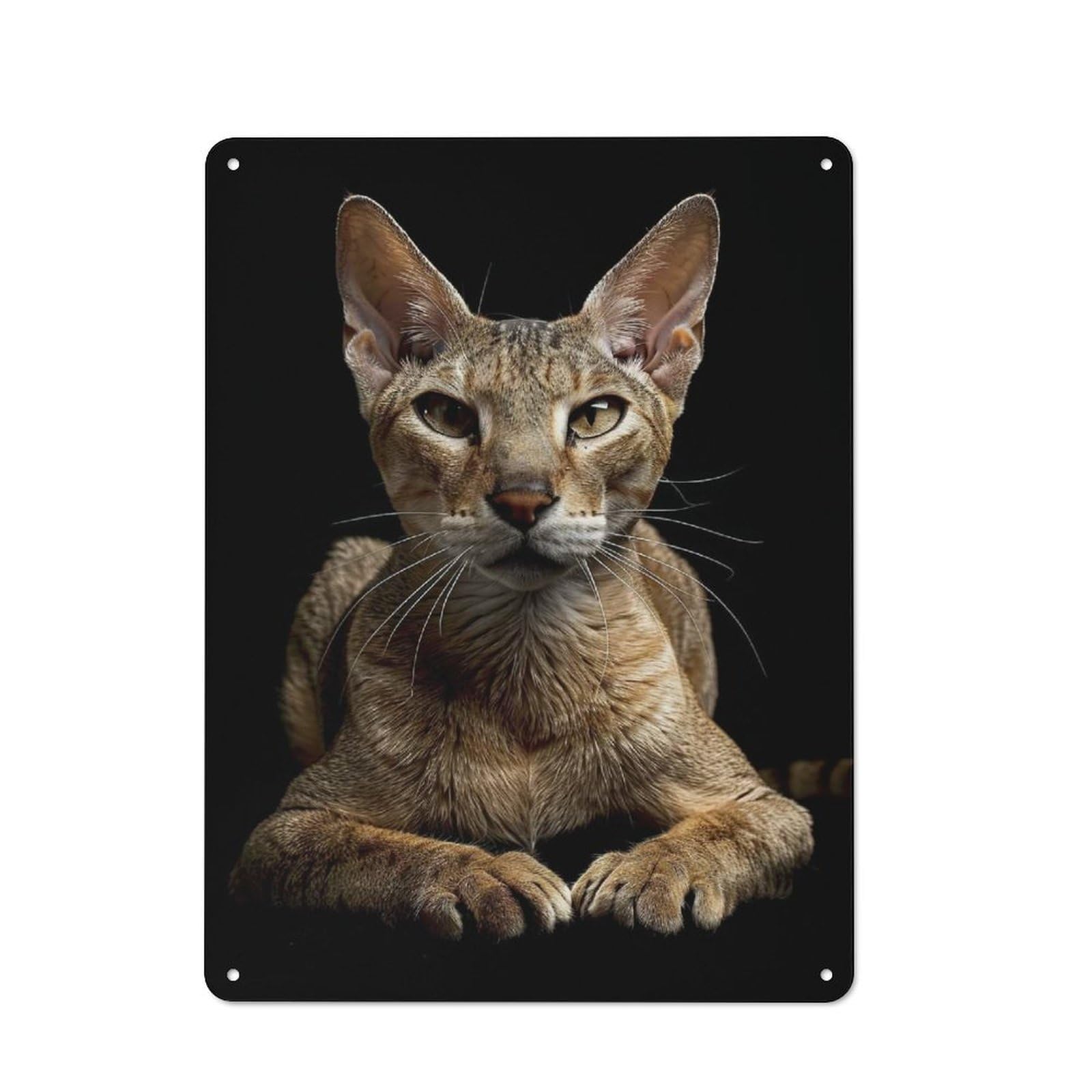 Junmoney Style-23 Oriental Shorthair Tin Sign 40X30cm, Modern Vintage Creative Space Decor For Hobby Room, Office, Lounge Or Living Room