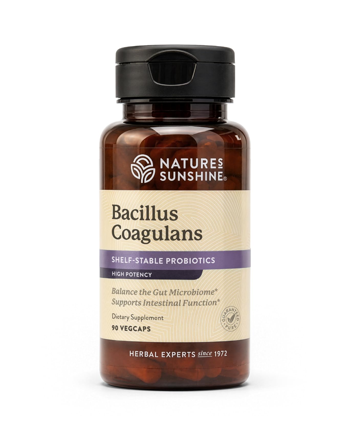 Nature's Sunshine Bacillus Coagulans, NutriBiome - 90 Vegicaps