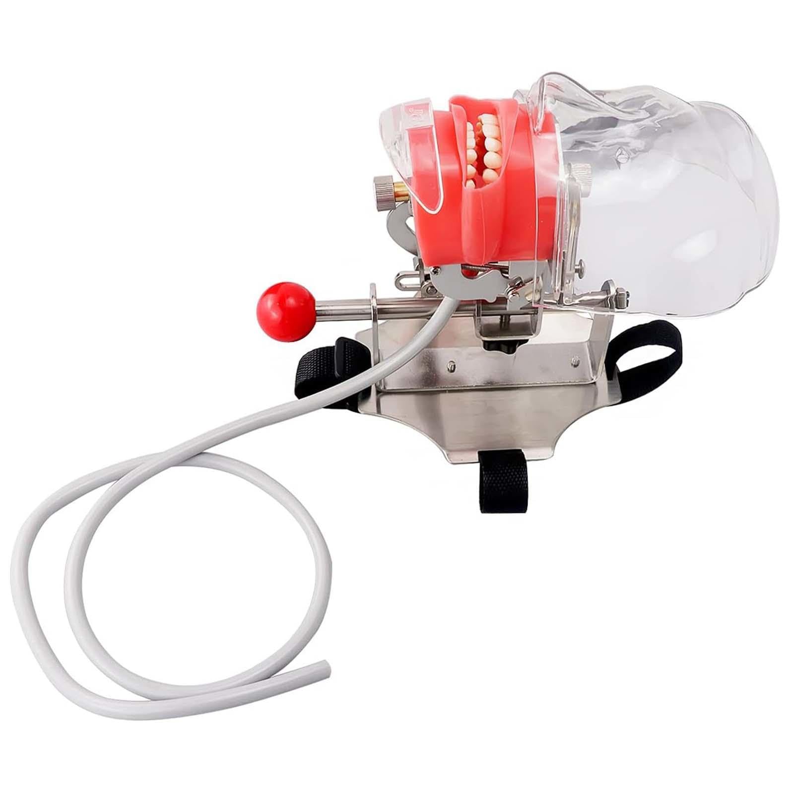Tête Fantôme de Simulateur de Mannequin Dentaire – avec Modèle de Dents de Typodont Fixé sur Une Chaise, émulation élevée 1:1 Réglable à 360 Degrés pour Les écoles Dentaires, Formation