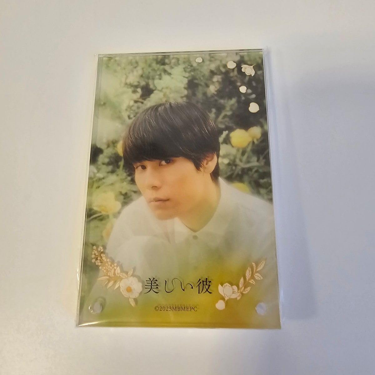 萩原利久　美しい彼　アクリルシャドーボックス Amazon.co.jp: 萩原利久 美しい彼 アクリルシャドーボックス