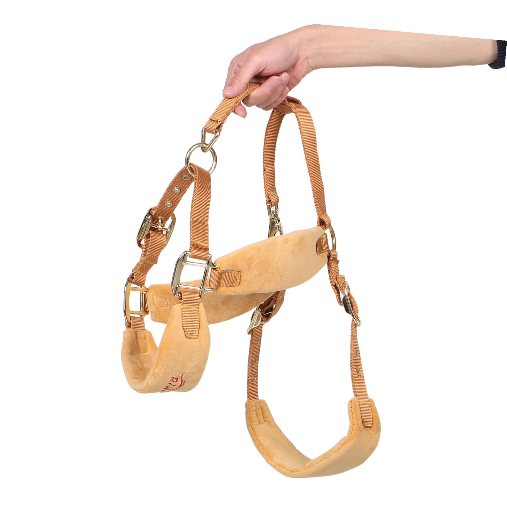 MAGICLULU Cavezza Regolabile per Cavalli in Pu Imbottita Design Moderno e vestibilità Sagomata, Accessorio Equestre per Sessioni di Addestramento e Spettacoli