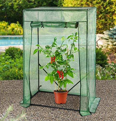 Foto von Royal Gardineer Foliengewächshaus: 2er-Set Tomaten-Folien-Gewächshäuser, Aufroll-Tür, 100x50x150 cm, grün (Gewächshaus Regal, Tomaten Gewächshaus Balkon, Abdeckhaube)