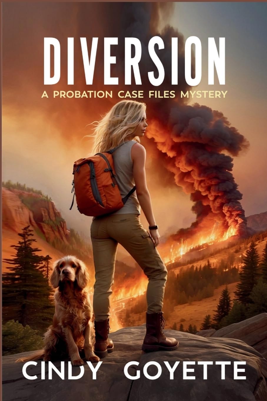 Diversion: A Probation Case Files Mystery: 3