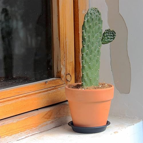 Miniatura 6 de BangQiao Platillo de plástico redondo para maceta