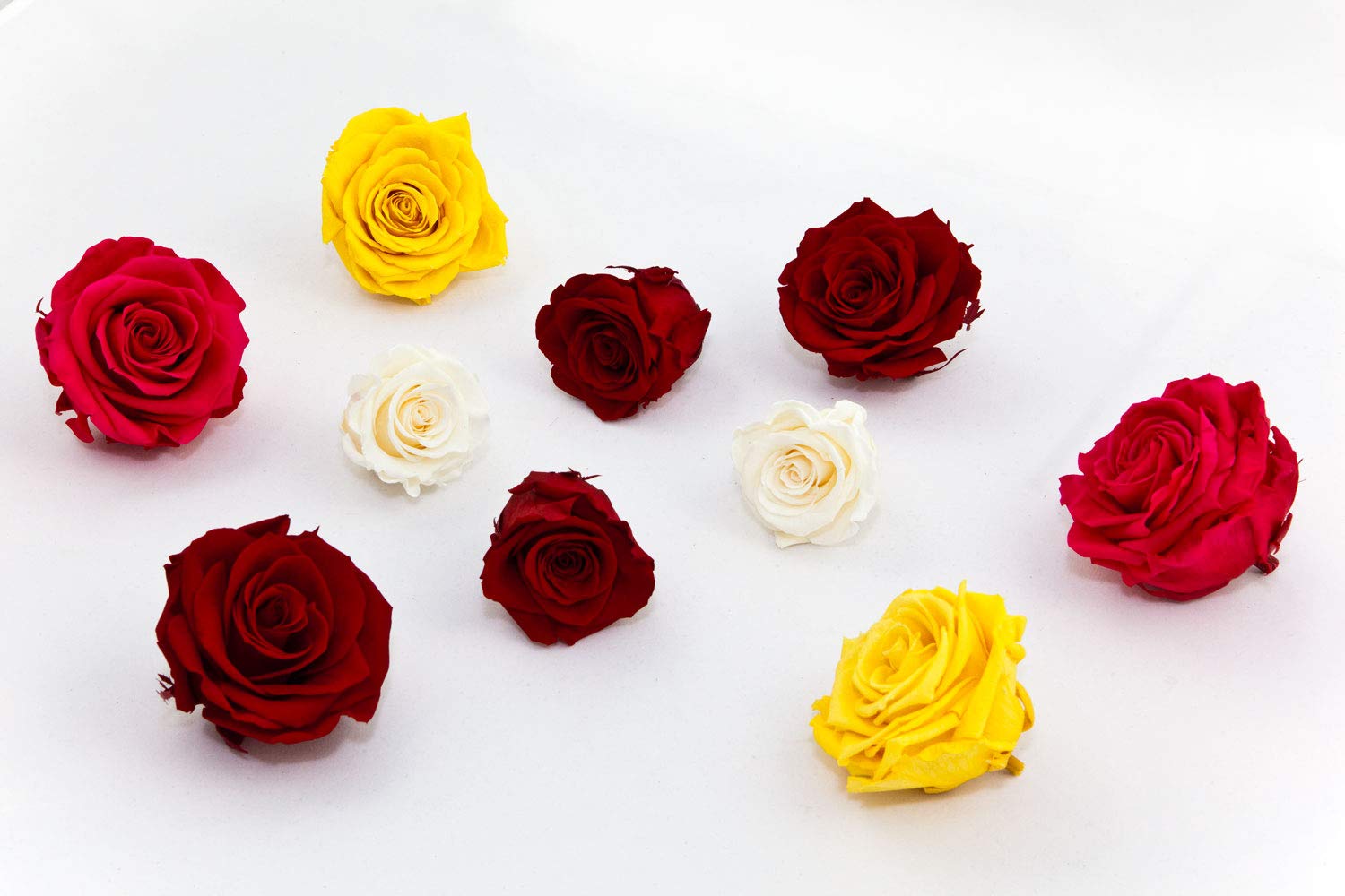Teste Di Rosa Stabilizzate Blu 5 Cm: Fiori Naturali Che Durano Anni – Confezione Da 5 - 2