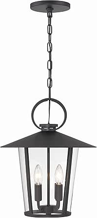 Crystorama Andover 4 Light Matte Black Outdoor Pendant