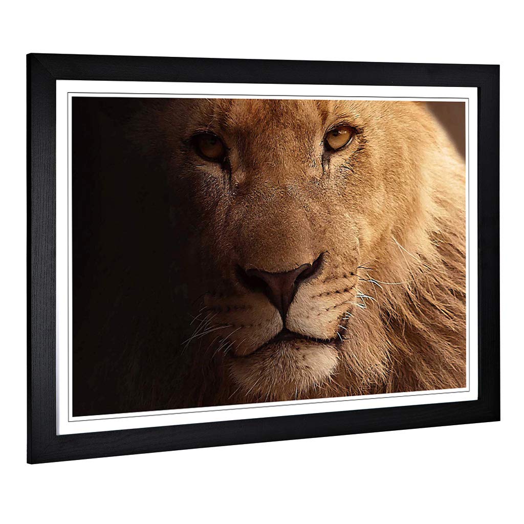 Big Box Art Framed Print of Lion Design | Wall Art Picture | Home Decor for Kitchen, Living, Dining Room, Lounge, Bedroom, Hallway, Office, Black, A2 / 24.5x18 Inch / 62x45cm