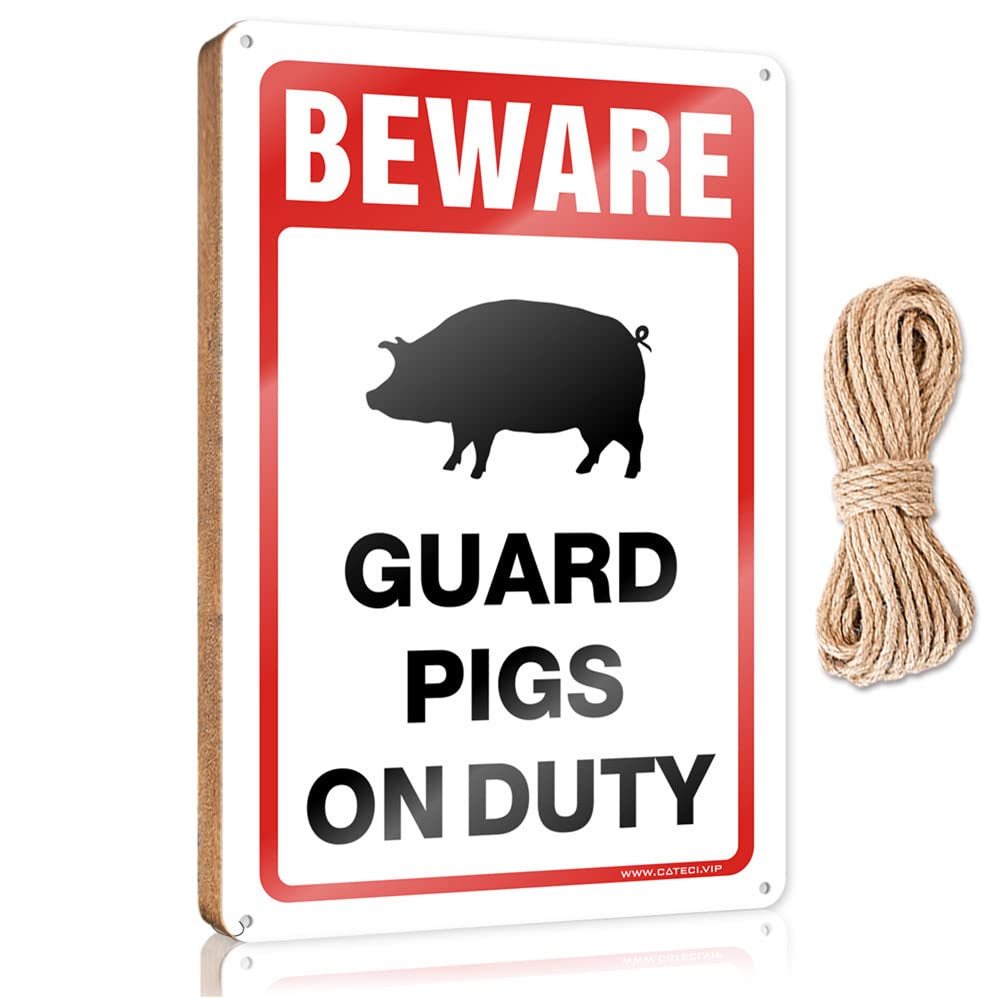 DTHA Funny Signs For Bedroom Beware! Guard Pigs On Duty Wooden Sign Spring Porch Decor Front Door Decor(20X30CM)