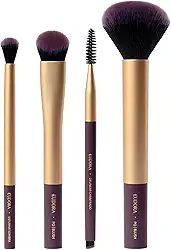 EUDORA KIT DE PINCÉIS