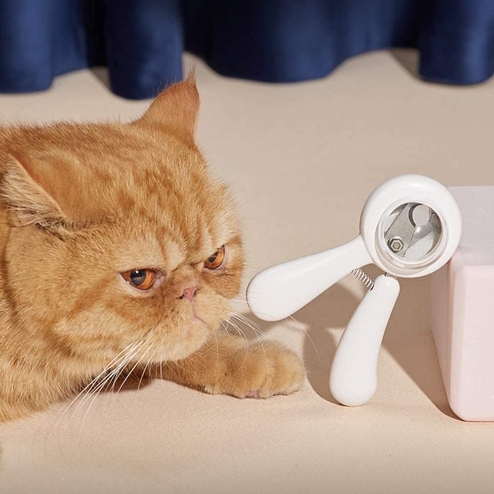 Tongeurs d'ongles pour Chat de Compagnie, tondeuses à Ongles, affûtage Chat Griffes Novice artefact Anti-éclaboussures Anti-éclaboussures et Tondeuse pour Petits Chats