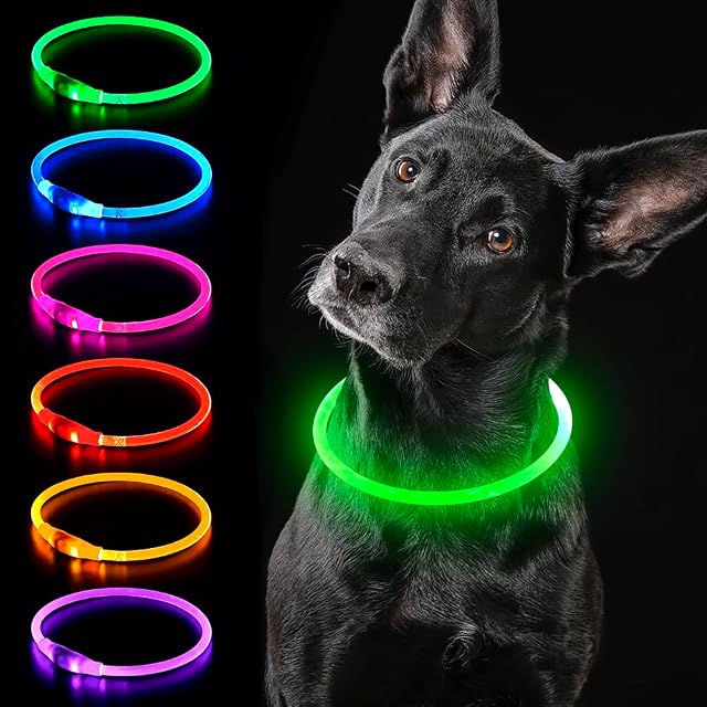 iTayga leuchthalsband Hund, USB-aufladbar und wasserdicht hundehalsband, verstellbare Länge, Sicherheitshalsband für Hunde und Katzen, 3 Modi, Grün