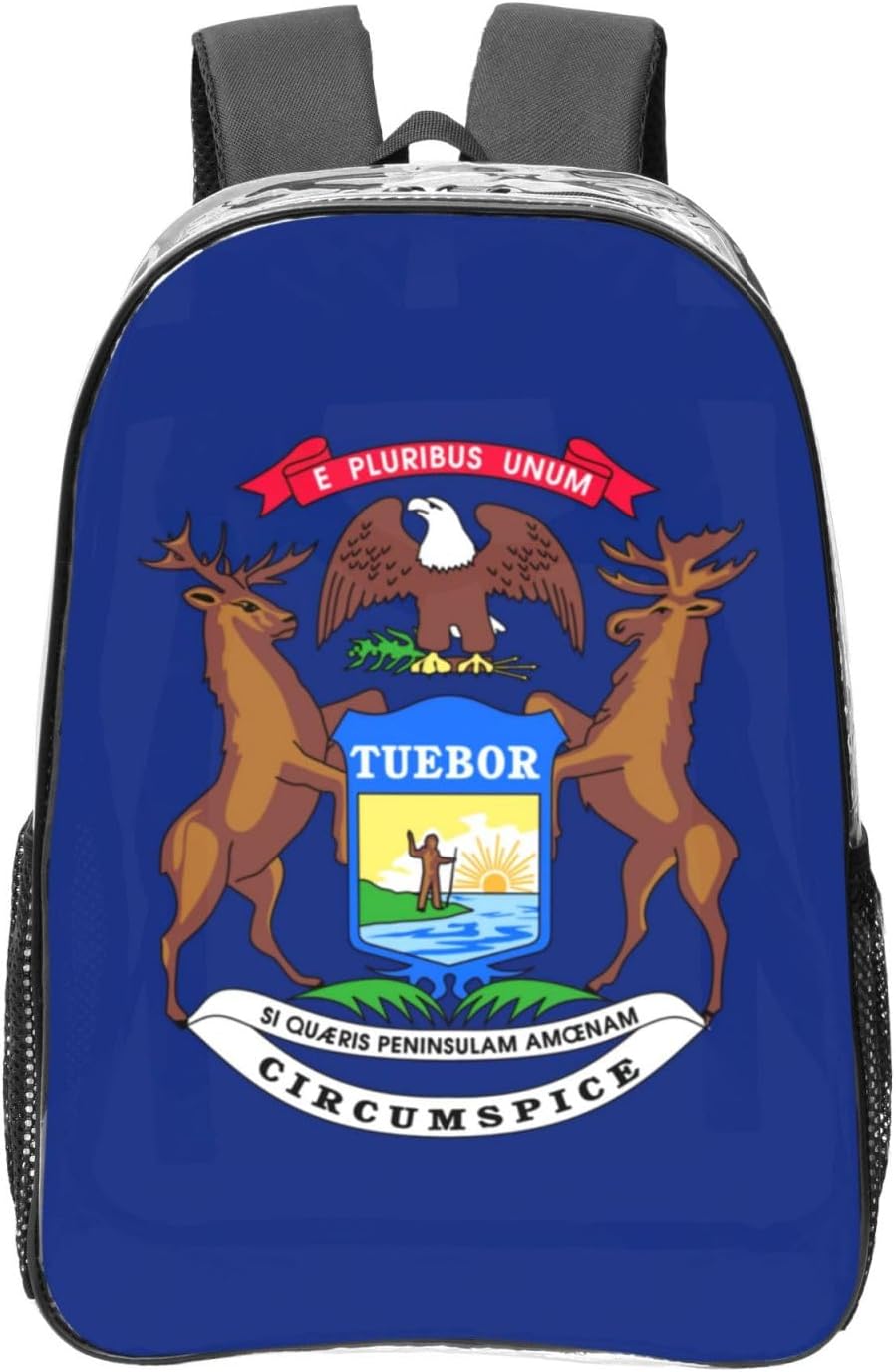 Michigan State Flag print 16 Inches Clear Backpacks for Office Large Backpack Clear Bookbag for College