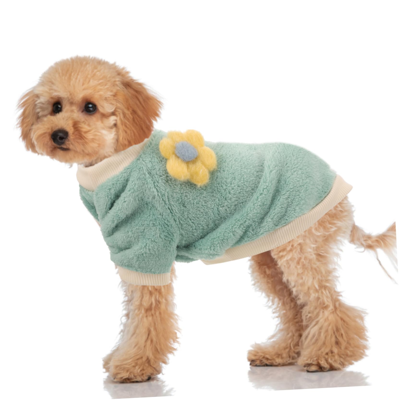 ifundom Manteau pour Chien Pull-Over Chaud Vêtement Amusant pour Animal de Compagnie Costume Facile à Enfiler