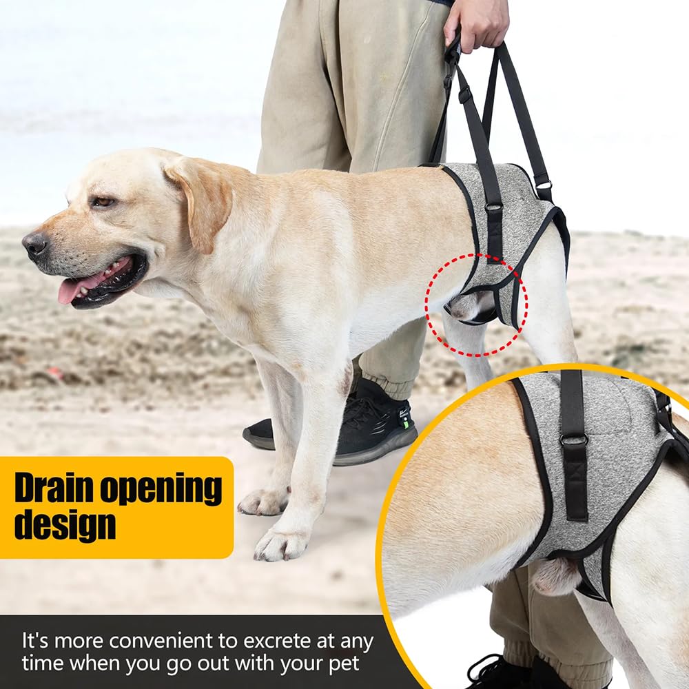 Arnés De Apoyo para Patas Traseras,Arnes de Transporte para Perros, Arnés de Elevación para Perros,Transpirables Acolchadas Ajustables,Impermeable,para Mascotas Y Rehabilitación Correas(XL,Gris)