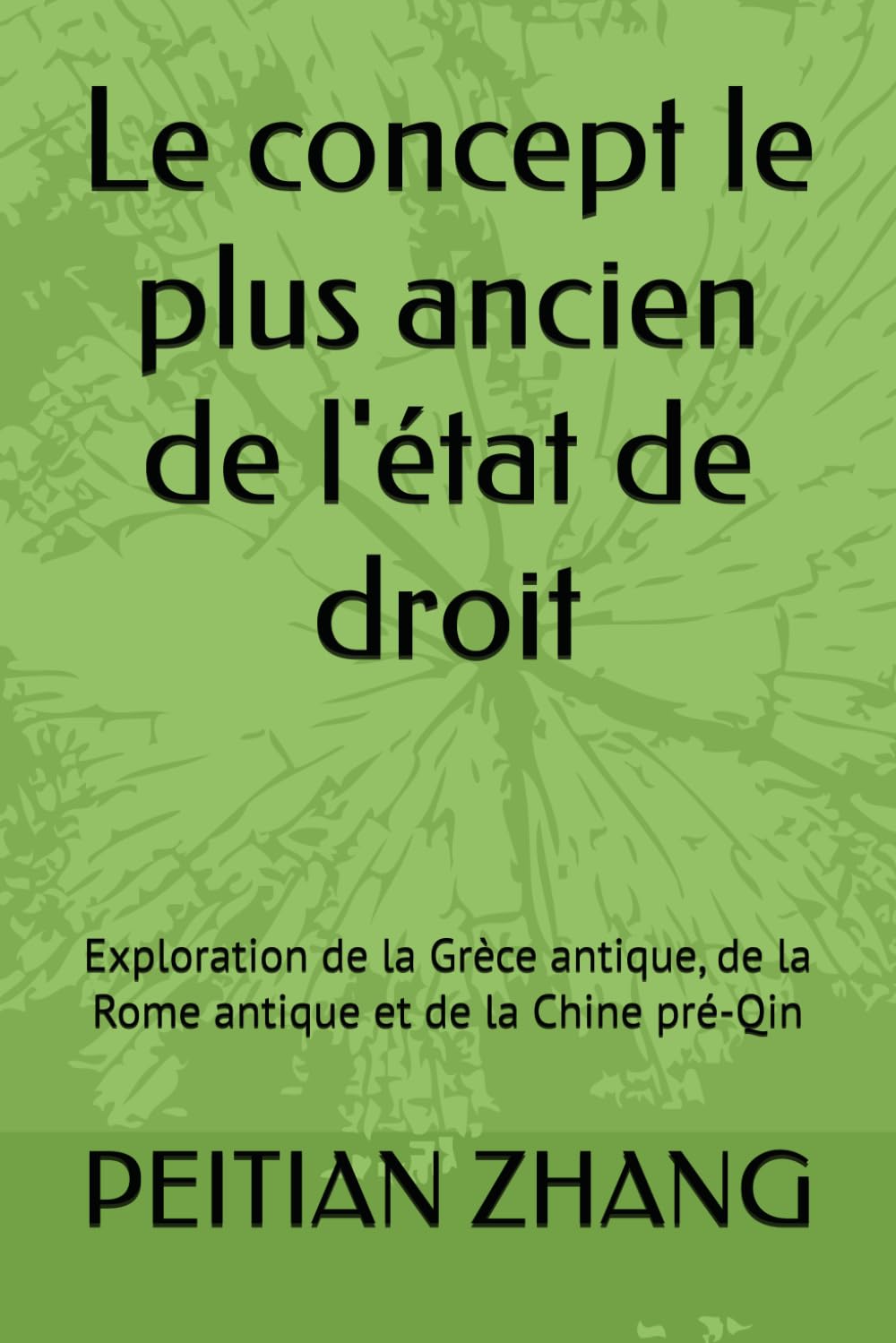 Le concept le plus ancien de l'état de droit: Exploration de la Grèce antique, de la Rome antique et de la Chine pré-Qin (peitian zhang)