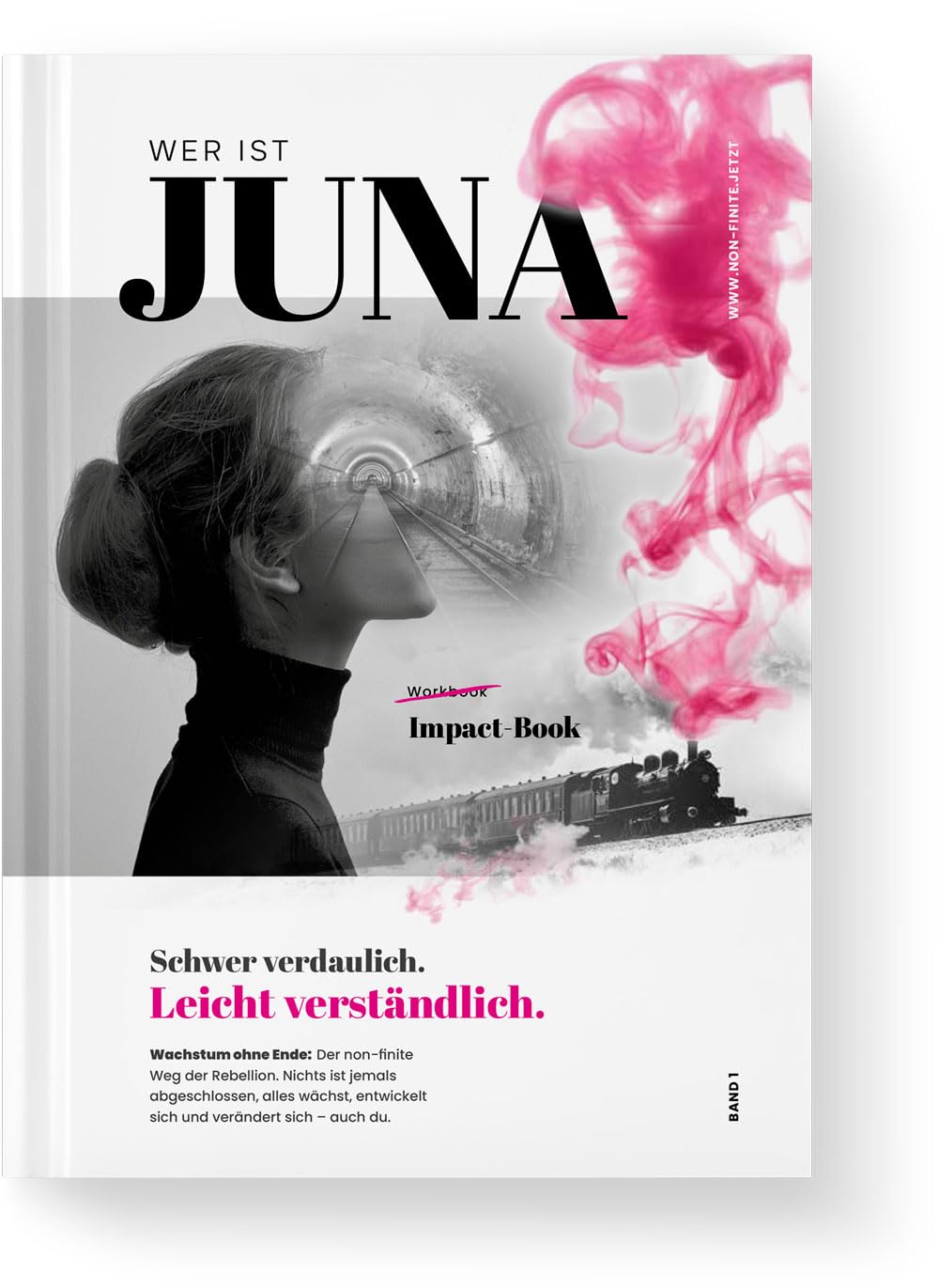 Wer ist Juna? Band 1: Impact Book. Schwer verdaulich. Leicht verständlich
