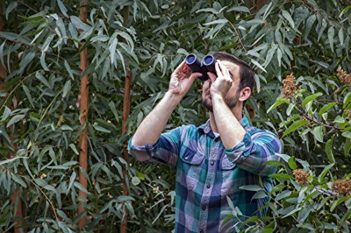BARSKA binocular 8x42 negro impermeable miniatura 2