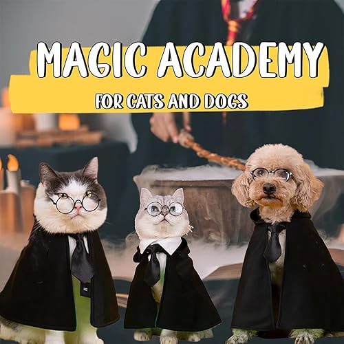 Miniatura 5 de Ginkago Disfraz de Halloween para perro y gato, capa de disfraz de brujamago para fiesta de Halloween, cosplay, accesorio de fotos con gafas y