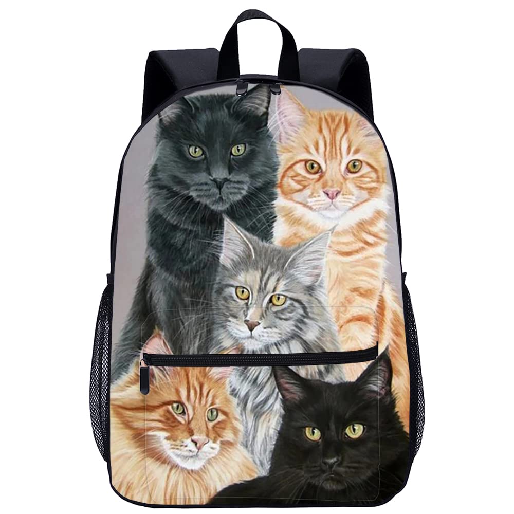 Sac à dos chat grande capacité 45x30x15cm avec compartiments renforcés - 8