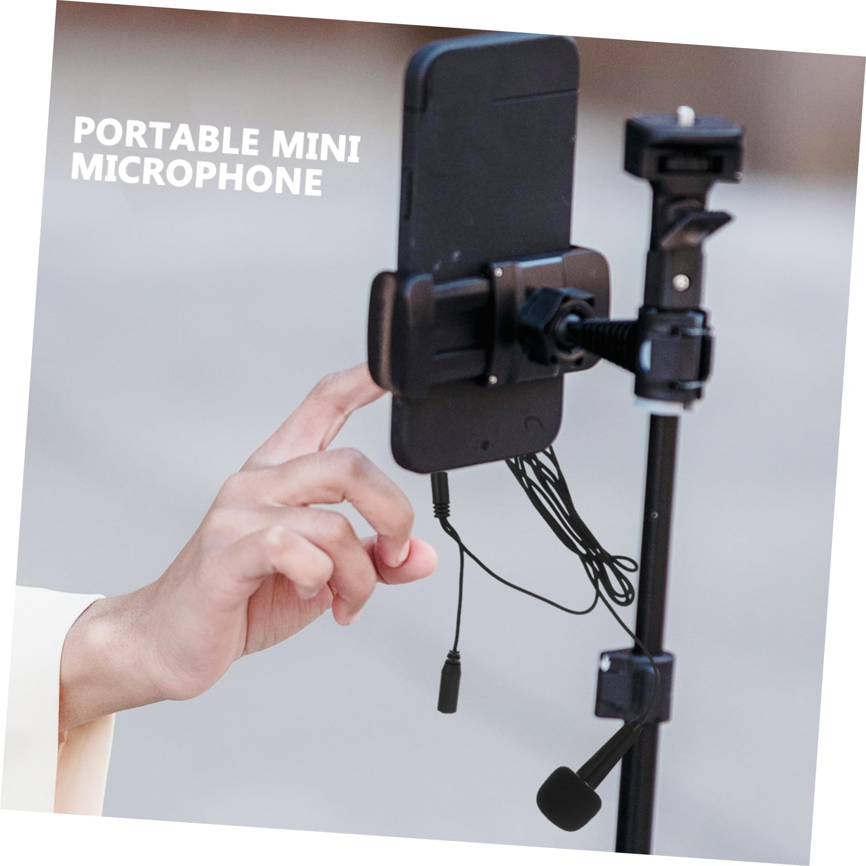 ibasenice Vocal Microphones Set Portable Microphone Mini Mic Appearance for Family Entertainment and Outdoor Use