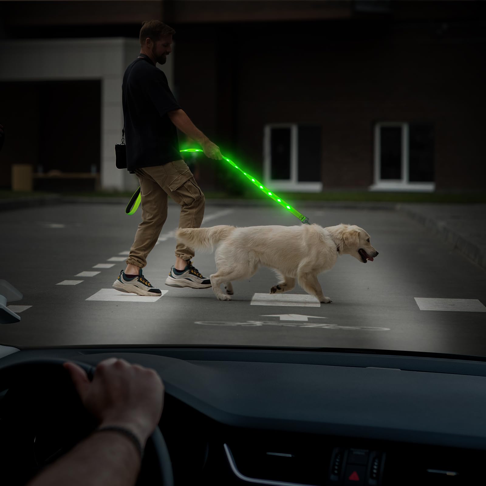HIGO Guinzaglio per cani a LED, ricaricabile tramite USB, per cani, riflettente e luminoso, per passeggiate notturne con il cane (verde, 120 cm)