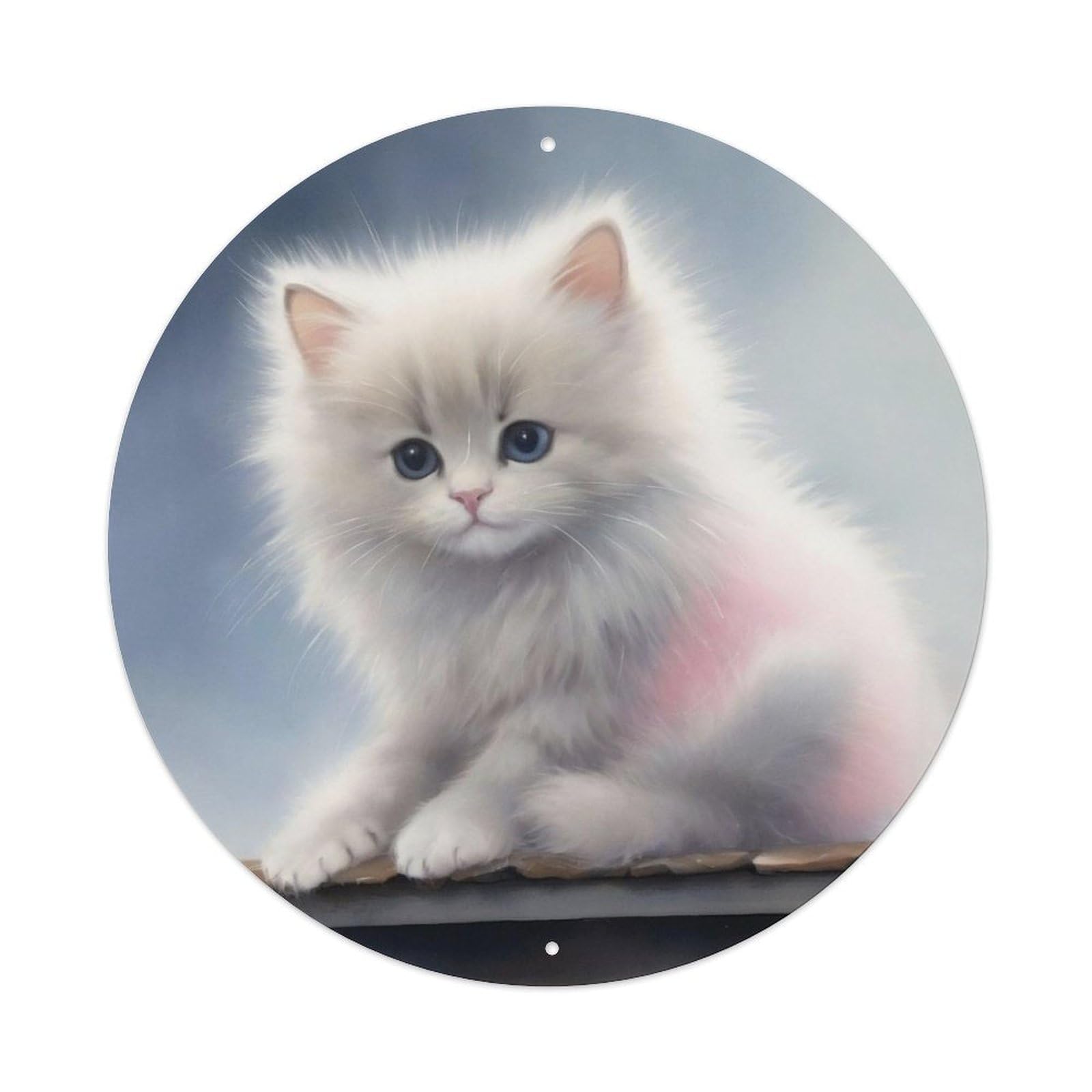 Animal Fluffy Ragdoll Kitten Cute Blue Eyed Vintage Metal Tin Sign Plaque Wall Decor for Cafe, Club Bar, Office, Garden Metal Poster 8x8Inch